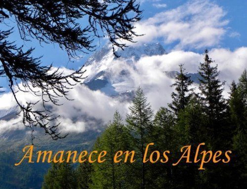 Café, Sueños y Tesoros…