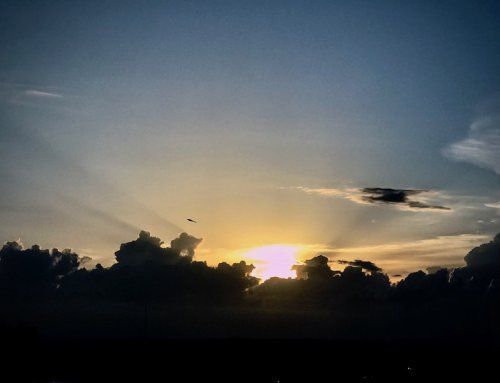 La Noche más Oscura.