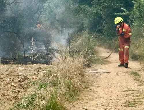 Cosas del verano. Incendios y Profesionales que velan por nosotros.