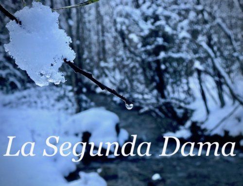 Expedición La Segunda Dama